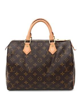 Louis Vuitton Speedy 30 #307094L13B